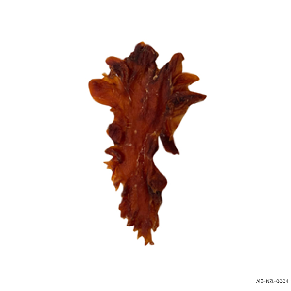 New Zealand Fish Maw